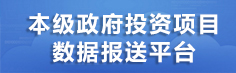 本级政府投资项目数据报送平台